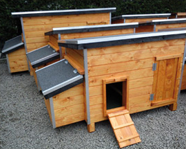 Kippenhok BOKMOLEN Medium bruin met valdeur/trapje Kippenhok BOKMOLEN Medium bruin met valdeur/trapje